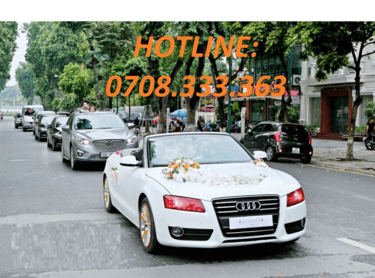 dịch vụ cho thuê xe audi tphcm có tài