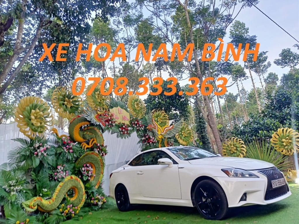Cho Thuê Xe Mui Trần Tự Lái TPHCM Giao Xe Tận Nơi 24 Giờ cho thuê xe mui trần tự lái tphcm