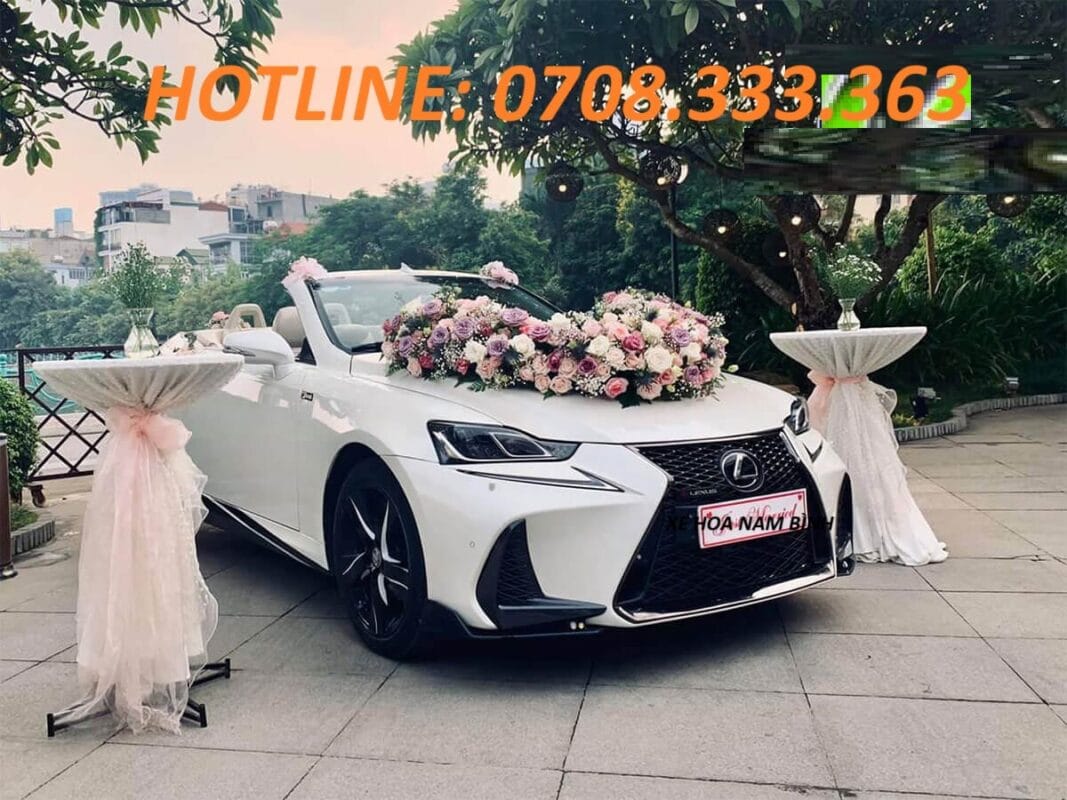 Cho Thuê Xe Mui Trần Tự Lái TPHCM Giao Xe Tận Nơi 24 Giờ cho thuê xe mui trần tự lái tphcm