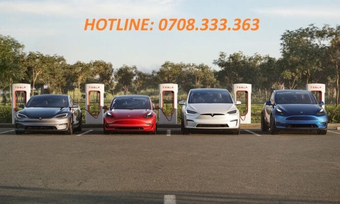 cho thuê xe tesla tphcm
