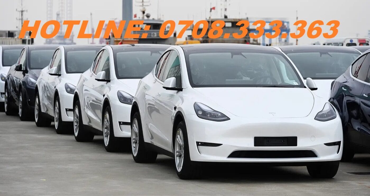 cho thuê xe tesla hà nội