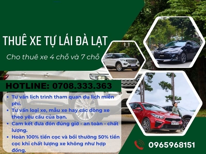 Cho Thuê Xe Tự Lái Đà Lạt Thủ Tục Nhanh Giao Xe 24/7 cho thuê xe tự lái đà lạt cho thuê ô tô tại đà lạt