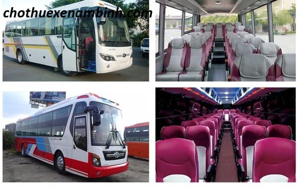 Cho Thuê Xe 45 Chỗ Tại Đà Lạt An Toàn Tiện Lợi Giá Cạnh Tranh cho thuê xe 45 chỗ tại đà lạt giá rẻ