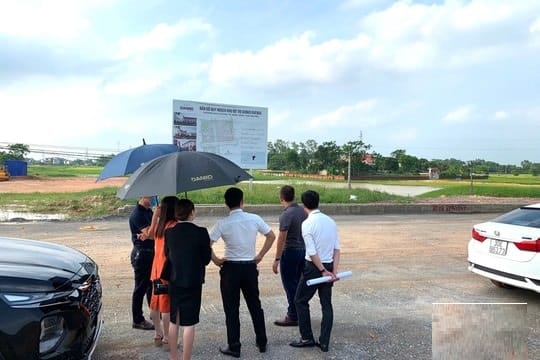 thuê xe ô tô đi khảo sát bất động sản